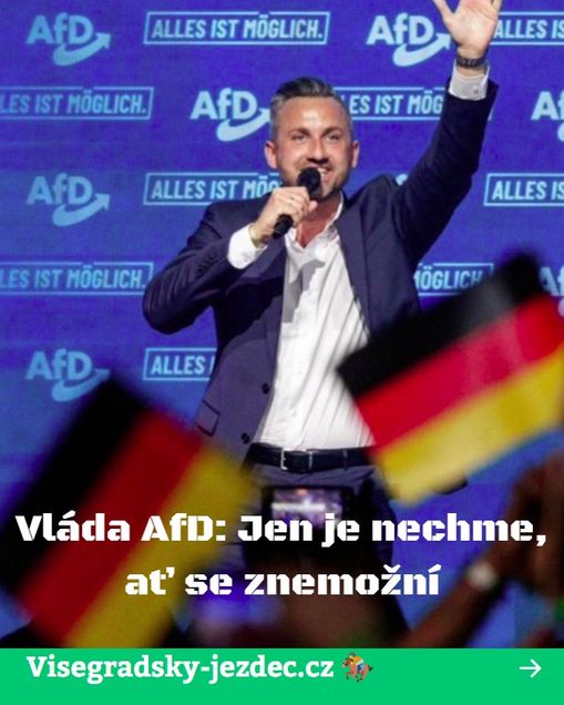 AfD konečně dostane šanci historicky se znemožnit